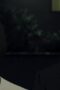 AamdOf95GNFabyxkdof636i4OP0